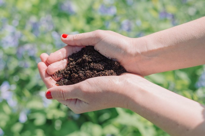 Transform Your Garden with These 5 Easy Coffee Ground Uses