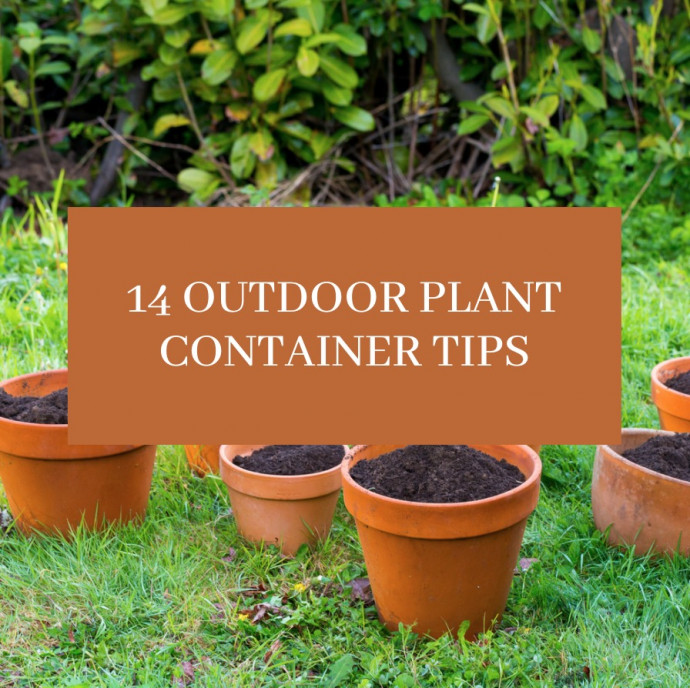 14 Outdoor Plant Container Tips