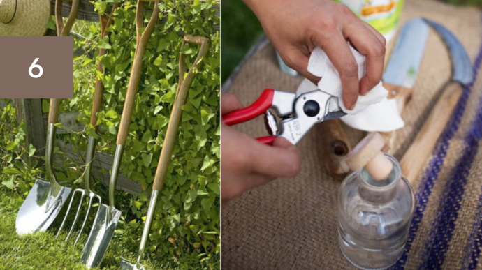 Garden Tools: How to Store, Clean & Sharpen