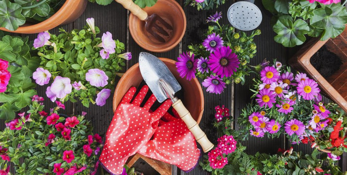 Useful Garden Accessories for This Spring