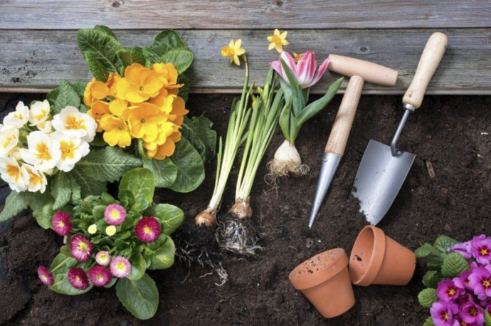 5 Time Saving Solutions For Gardeners