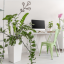 8 Tips for Healthy & Happy Houseplants