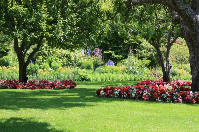 Ultimate Mid-Summer Gardening To-Do List Ultimate Mid-Summer Gardening To-Do List