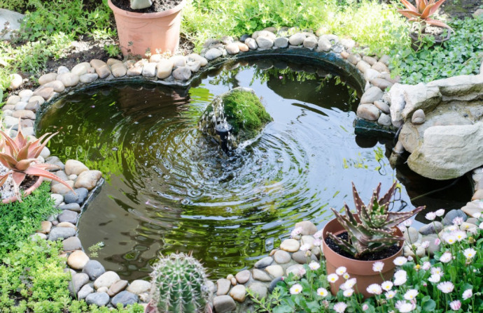 10 Tips for a Perfect Backyard Pond