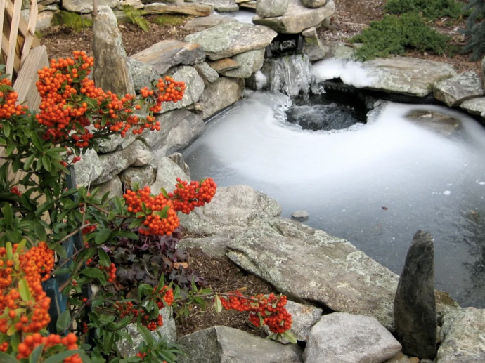 10 Tips for a Perfect Backyard Pond