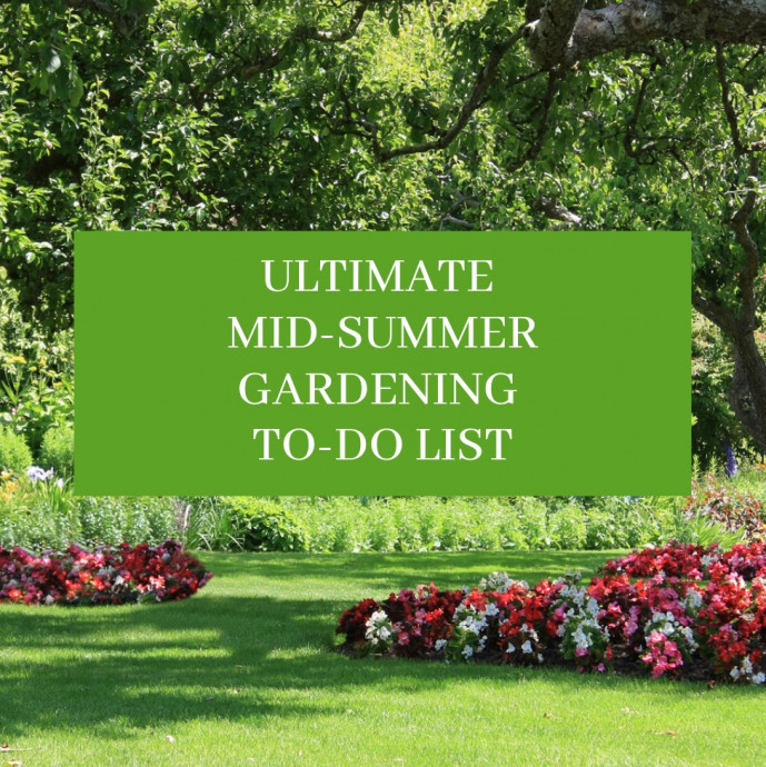 Ultimate Mid-Summer Gardening To-Do List
