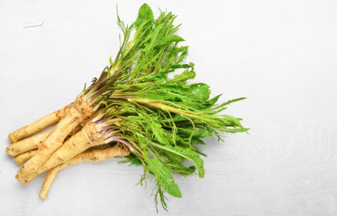 Companion Planting: Vegetables. Part 2 Companion Planting: Vegetables. Part 2