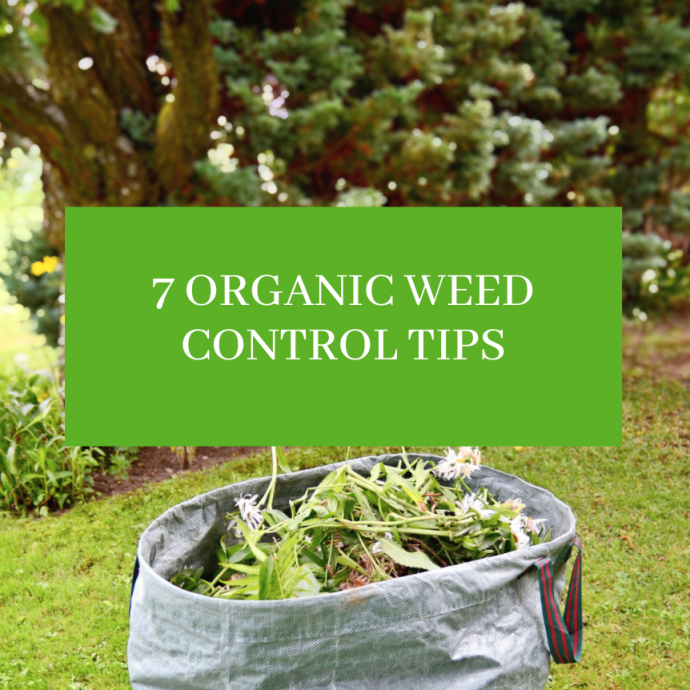 Organic Weed Control Tips