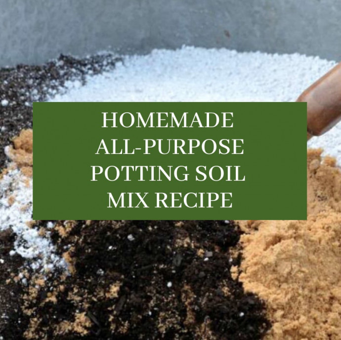 Homemade All-Purpose Potting Soil Mix Recipe
