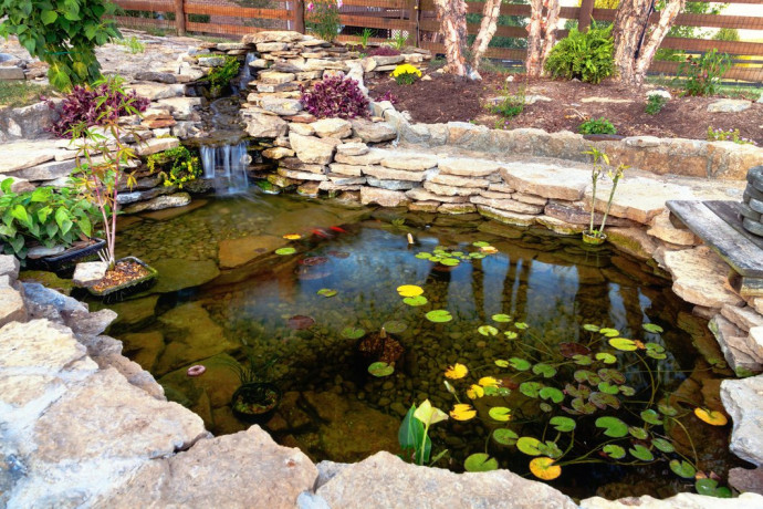 10 Tips for a Perfect Backyard Pond