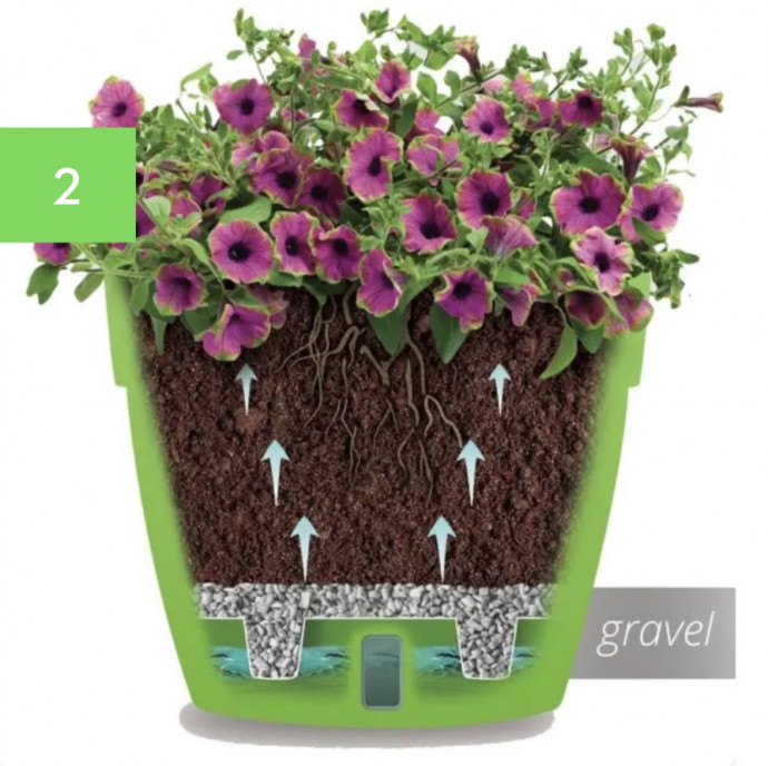 8 Best Gardening Accessories