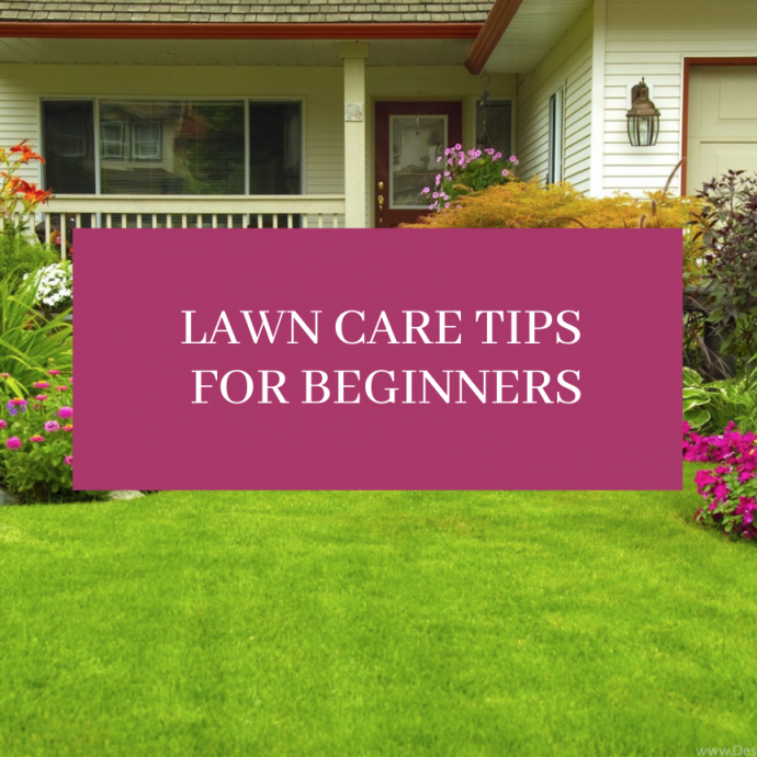 Lawn Care Tips For Beginners