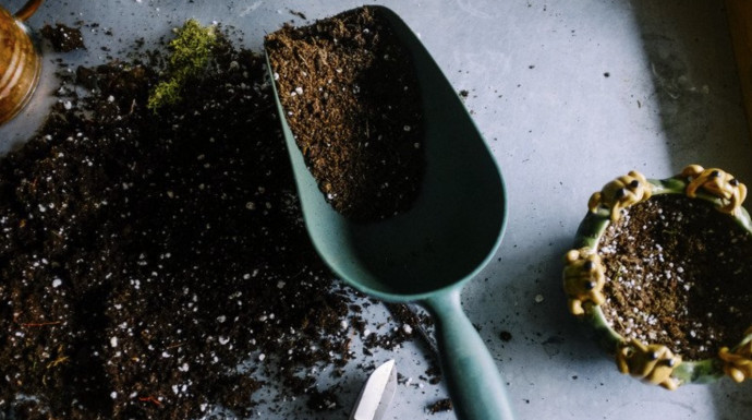 Understanding Soil Composition + Soil Nutrition Test Understanding Soil Composition + Soil Nutrition Test