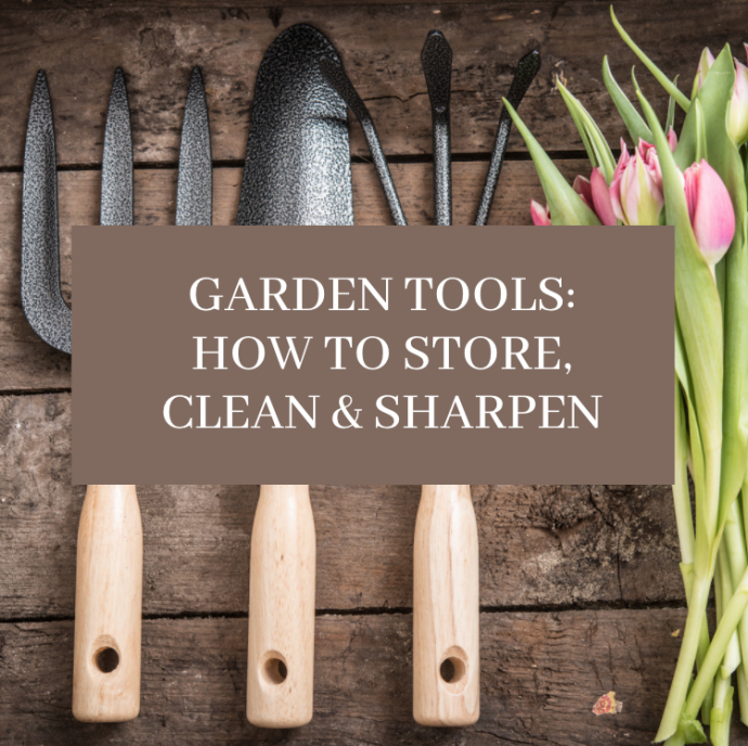 Garden Tools: How to Store, Clean & Sharpen