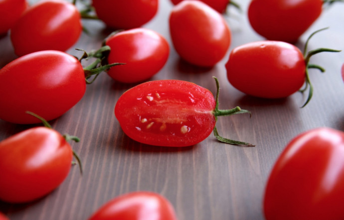 Collect and Save Tomato Seeds