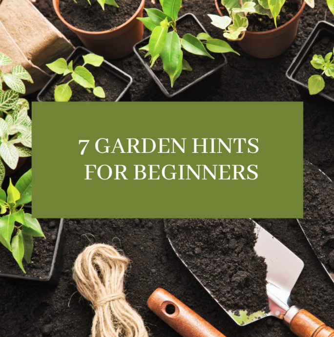 7 Garden Hints for Beginners
