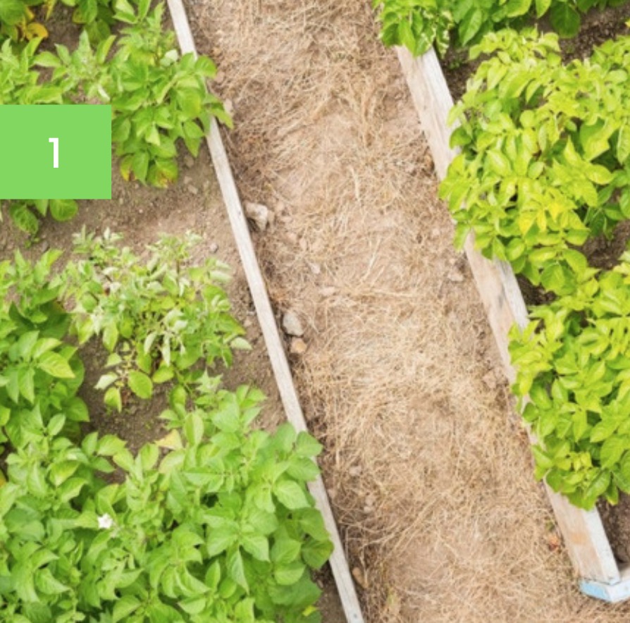 8 Best Gardening Accessories — EverydayGardenIdeas