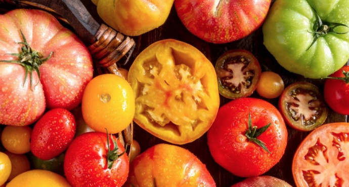 10 Common Tomato Problems & Solutions