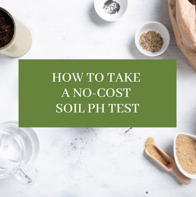 How to Take a No-Cost Soil Ph Test