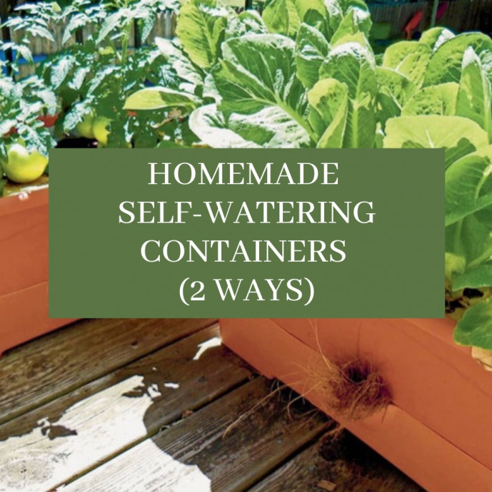 Self-Watering Containers (2 Ways)