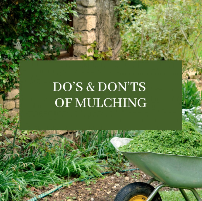 Do’s & Don’ts of Mulching