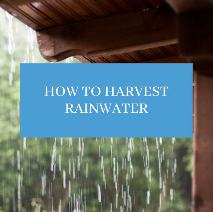 How to Harvest Rainwater