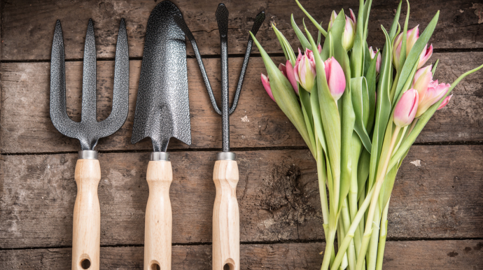 Garden Tools: How to Store, Clean & Sharpen