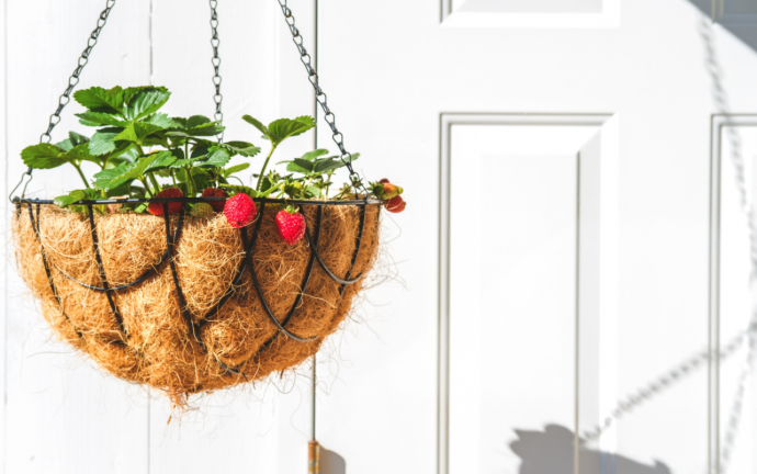 How to Make a Strawberry Basket How to Make a Strawberry Basket