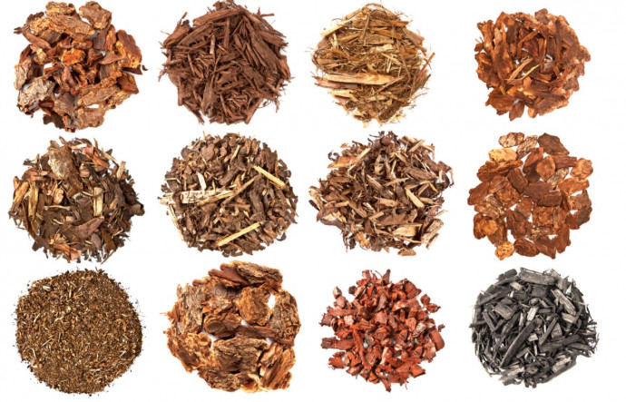5 Free Garden Mulch Sources 5 Free Garden Mulch Sources