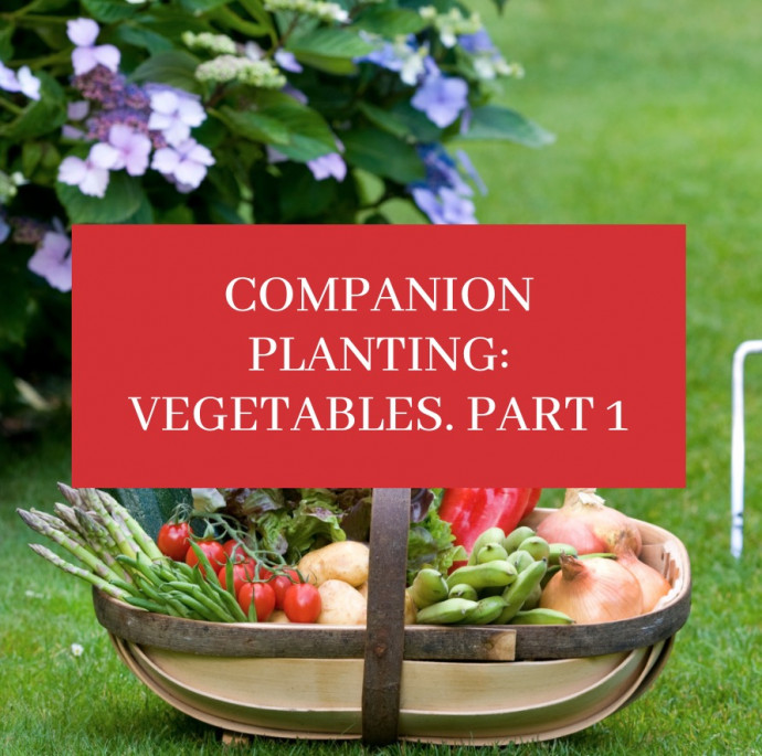 Companion Planting: Vegetables. Part 1