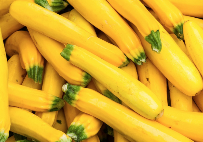 How to Grow and Care for Yellow Squash