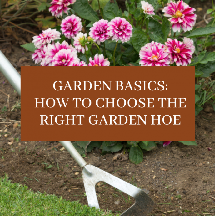 How to Choose the Right Garden Hoe