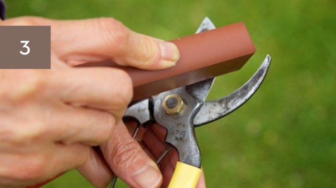 Garden Tools: How to Store, Clean & Sharpen