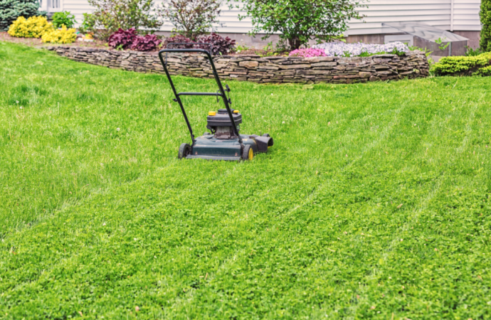 Lawn Care Tips For Beginners