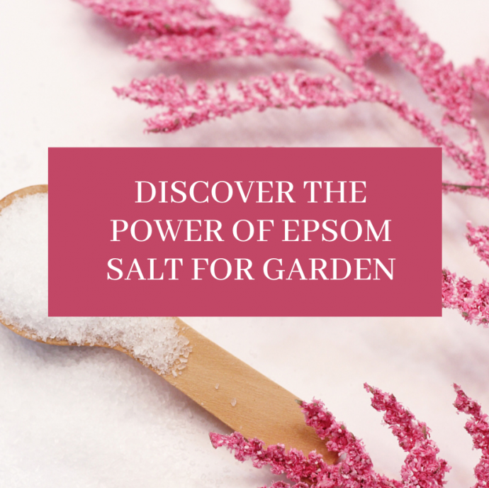 Discover The Power Of Epsom Salt