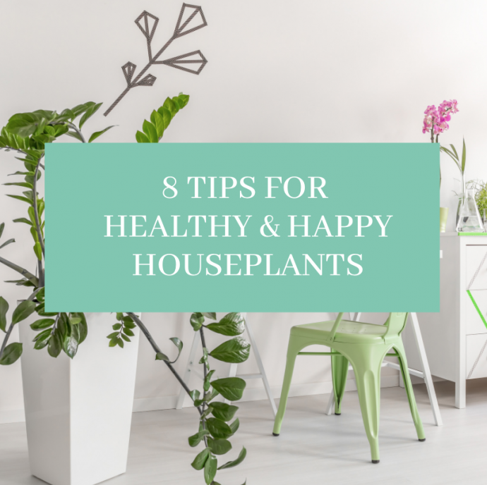 8 Tips for Healthy & Happy Houseplants