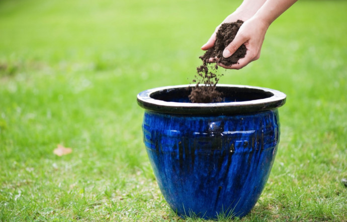 Gardening Q&A: Soil Problem Solving. Part 1