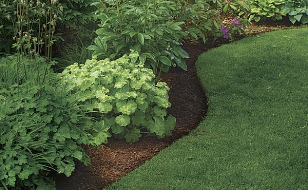 Organic Weed Control Tips Organic Weed Control Tips