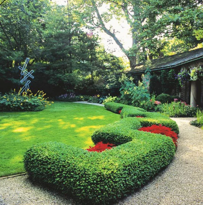 Lawn Design Ideas & Tips