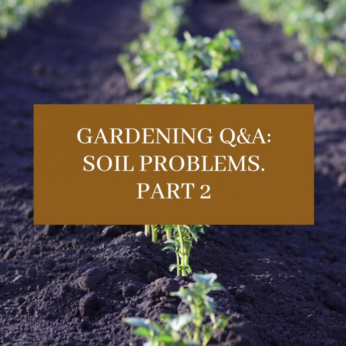 Gardening Q&A: Soil Problem Solving. Part 2