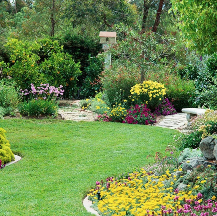 Lawn Design Ideas & Tips