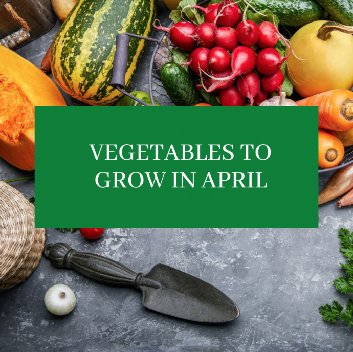 Vegetables to Grow In April