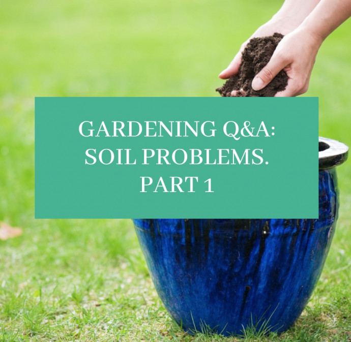Gardening Q&A: Soil Problem Solving. Part 1