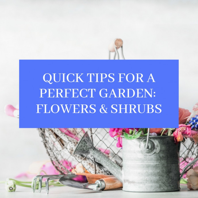 Gardening Quick Tips: Flowers And Shrubs