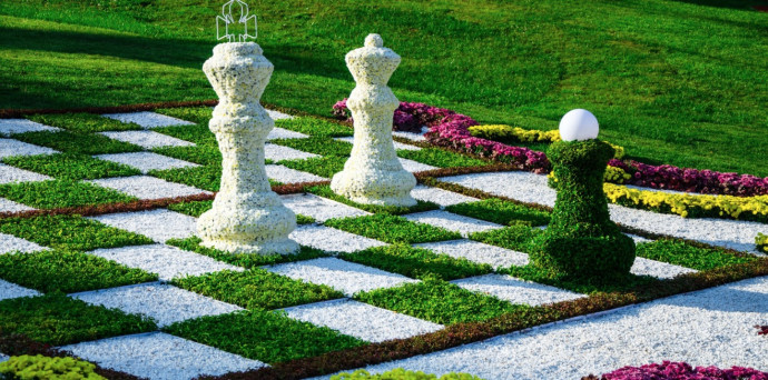 Lawn Design Ideas & Tips