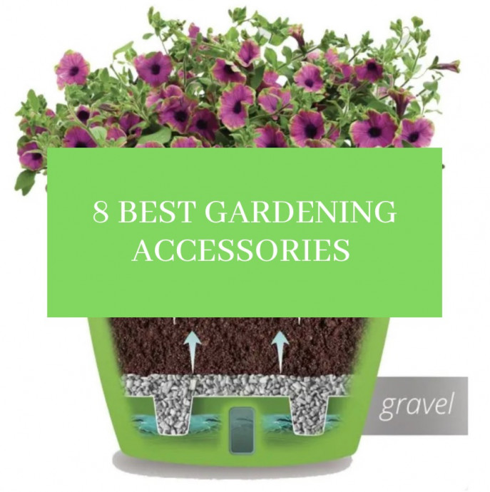 8 Best Gardening Accessories