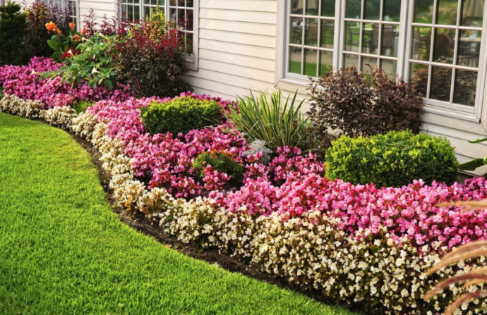 Beautiful Border Ideas: Late Spring Makeover