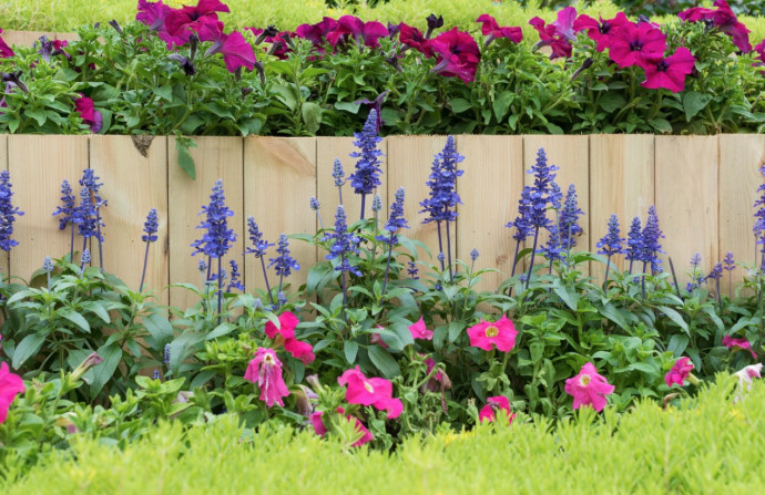 June Task List For Your Flower Garden