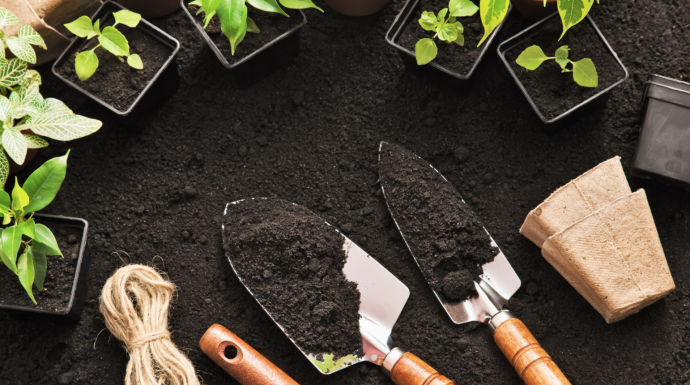 7 Garden Hints for Beginners 7 Garden Hints for Beginners