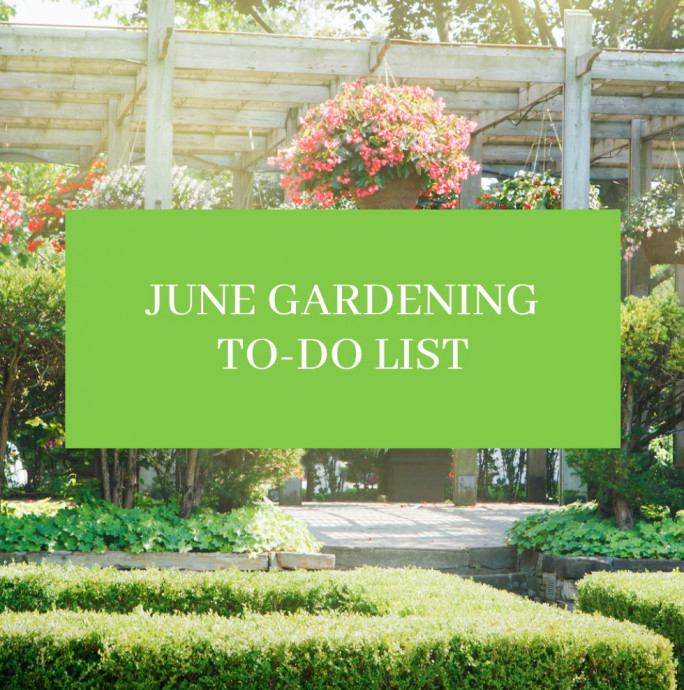 June Gardening To-Do List